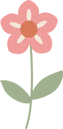 【PNG素材网-png.mixinnet.cn】Organic Boho Flower