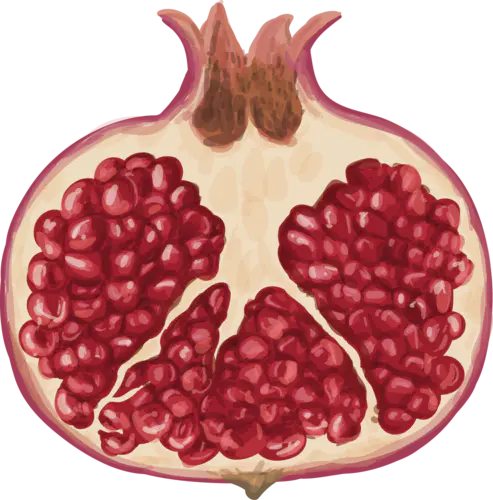 【PNG素材网-png.mixinnet.cn】水果PNG (23)手绘水果PNG