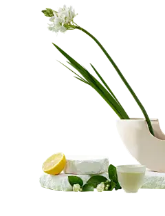 【PNG素材网-png.mixinnet.cn】 1299272473d1b1379ceeeb94a7d