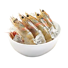 【PNG素材网-png.mixinnet.cn】厄瓜多尔白虾png素材免扣透明