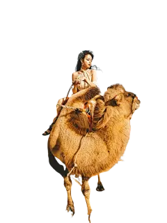 【PNG素材网-png.mixinnet.cn】ffbe5ee629f432d2e2ad163aab7fced9b569227efc28d-t8eI8M