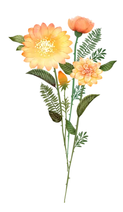 【PNG素材网-png.mixinnet.cn】手绘鲜花花卉免抠_PNG：