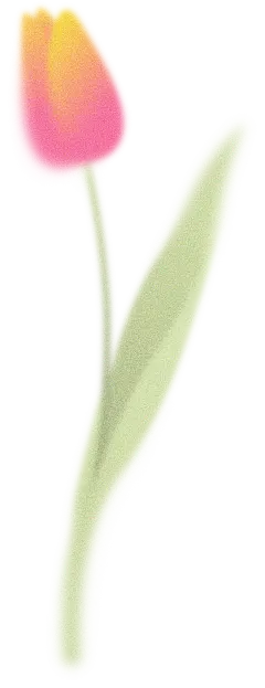【PNG素材网-png.mixinnet.cn】s2.png (616×1600)