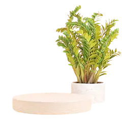 【PNG素材网-png.mixinnet.cn】米色3D立体台面舞台展台圆台png  (49)
