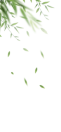 植物png