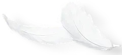 【PNG素材网-png.mixinnet.cn】mc2_6_2.png (316&times;143)
