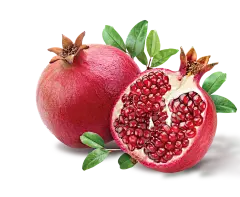 【PNG素材网-png.mixinnet.cn】Pomegranate  红石榴