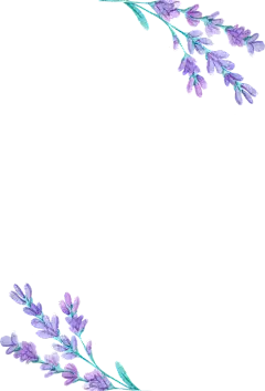 【PNG素材网-png.mixinnet.cn】花 薰衣草