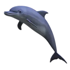 【PNG素材网-png.mixinnet.cn】PNG动物素材#海豚#