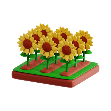 【PNG素材网-png.mixinnet.cn】向日葵