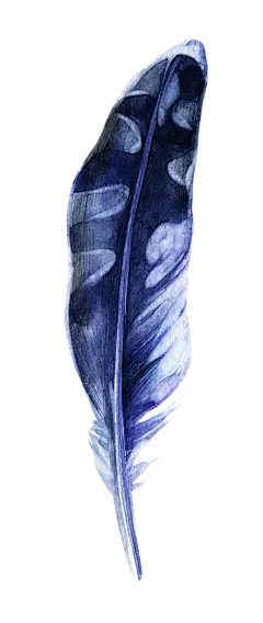 【PNG素材网-png.mixinnet.cn】[美工云]手绘水彩鸡毛羽毛_免抠PNG：