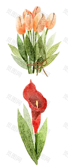 手绘春季春天绿植鲜花热带郁金香花盆栽免抠_PNG：