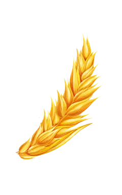 【PNG素材网-png.mixinnet.cn】【5谷杂粮 - 农产品】