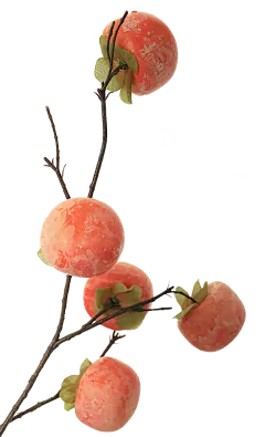 【PNG素材网-png.mixinnet.cn】柿子