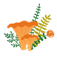 【觅图网-pic.51mitu.com】蘑菇插画 PNG免抠图