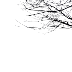 【PNG素材网-png.mixinnet.cn】2865685