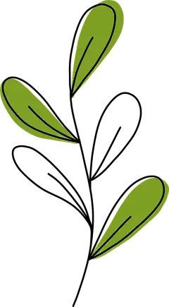 【PNG素材网-png.mixinnet.cn】手绘植物插画 PNG免抠图