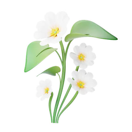 【PNG素材网-png.mixinnet.cn】樱草花