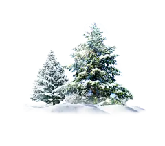 【PNG素材网-png.mixinnet.cn】圣诞树png