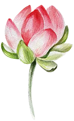 【PNG素材网-png.mixinnet.cn】花雷PNG