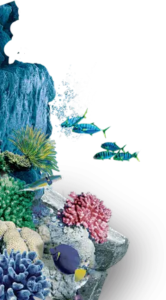 【PNG素材网-png.mixinnet.cn】SEA LIFE 부산아쿠아리움