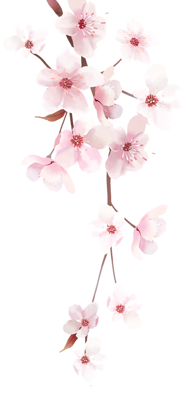 【PNG素材网-png.mixinnet.cn】高清PNG免扣鲜花