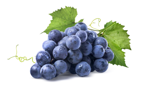 【PNG素材网-png.mixinnet.cn】葡萄素材高清