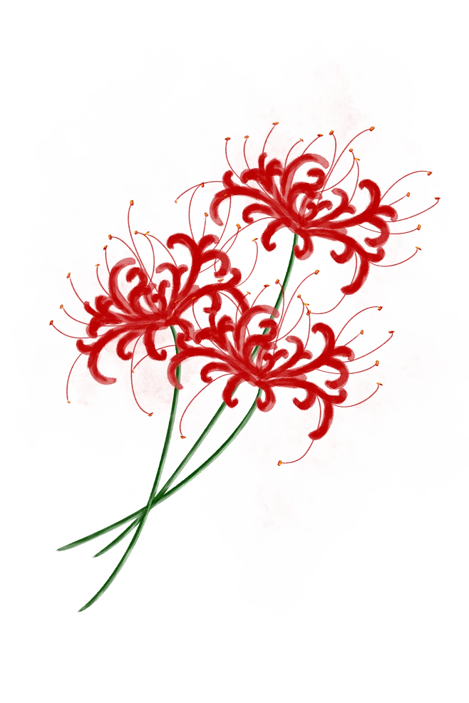 【PNG素材网-png.mixinnet.cn】186dc2c35c3d2e42a7860e44e08f590a