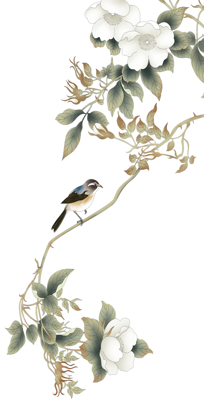 【PNG素材网-png.mixinnet.cn】ForEnzo祖，植物，花，草，树，枝，叶，根，梅，兰，竹，菊，梨