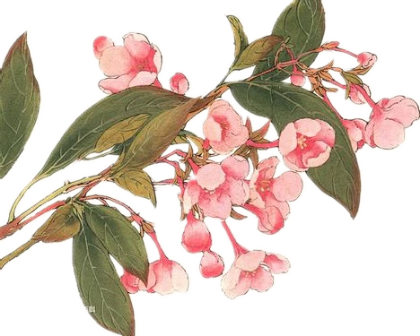 【PNG素材网-png.mixinnet.cn】古风素材
