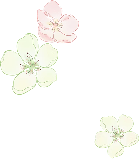 【觅图网-pic.51mitu.com】免扣素材