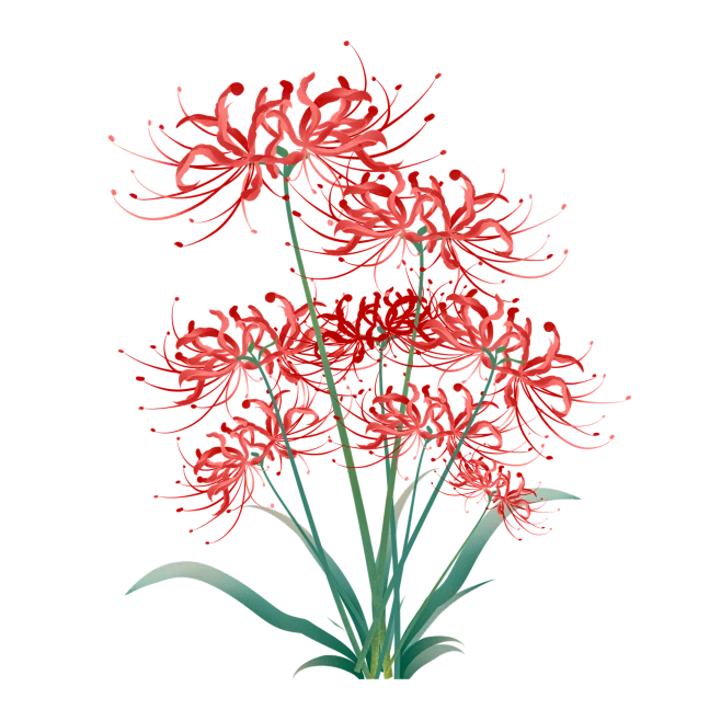 【PNG素材网-png.mixinnet.cn】fce4d663fbe1406a42613a87dc515836