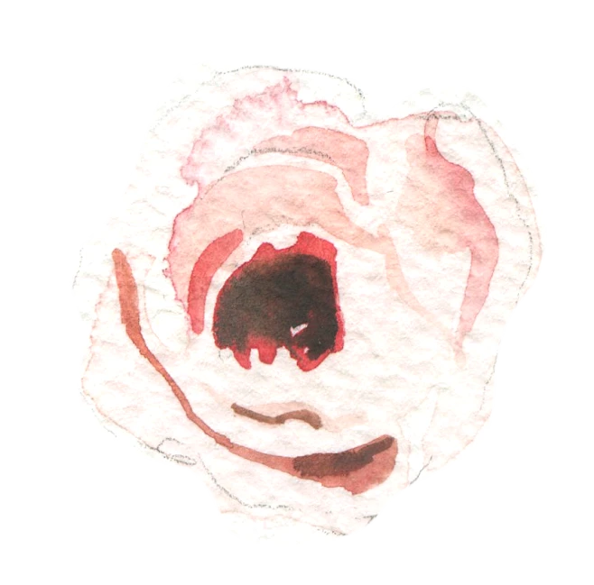 【PNG素材网-png.mixinnet.cn】12 (5)