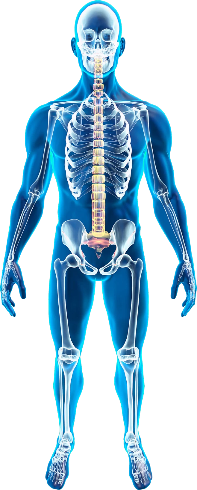 【PNG素材网-png.mixinnet.cn】people-2