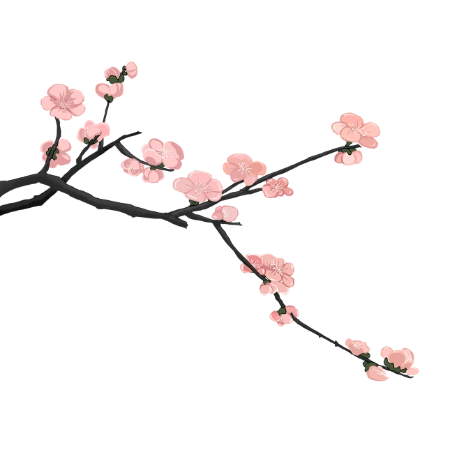 【PNG素材网-png.mixinnet.cn】古风水墨梅花