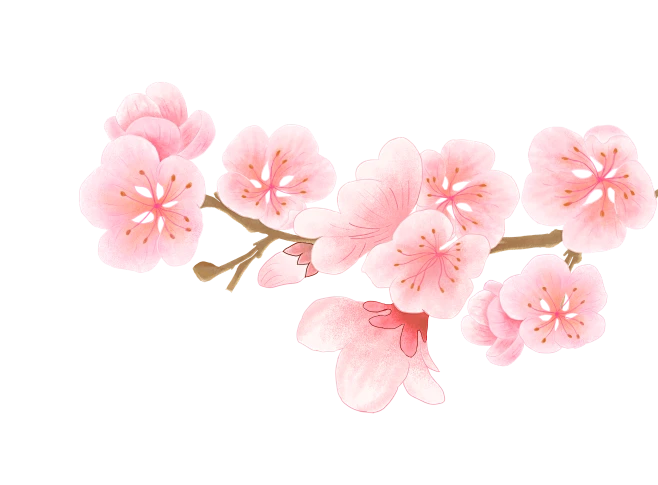 【PNG素材网-png.mixinnet.cn】桃花元素 145