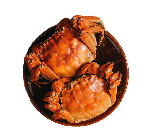 【PNG素材网-png.mixinnet.cn】螃蟹