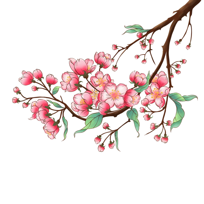 【PNG素材网-png.mixinnet.cn】桃花元素 41