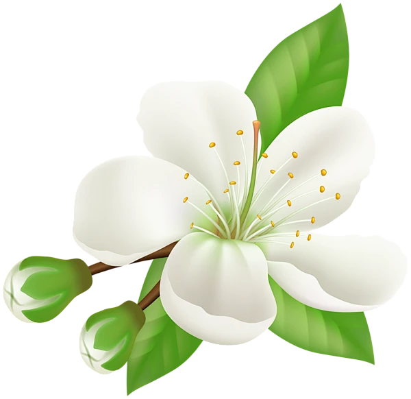 【PNG素材网-png.mixinnet.cn】Spring_Blooming_Tree_Flower
