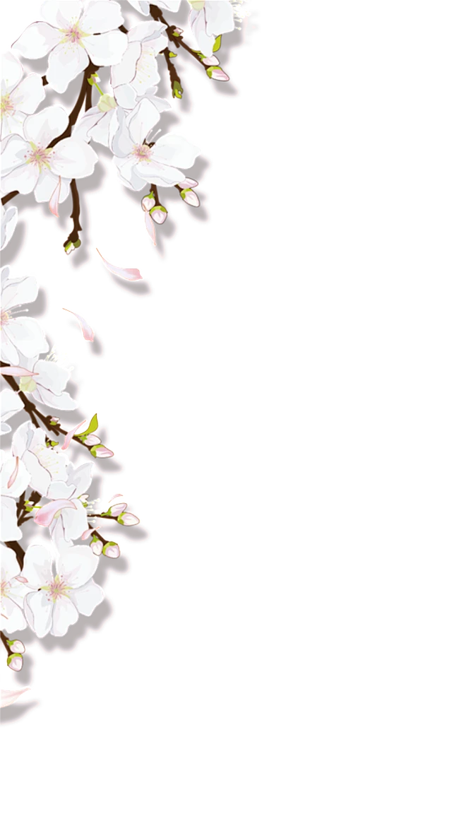 【PNG素材网-png.mixinnet.cn】单侧梨花填充图透明装饰素材