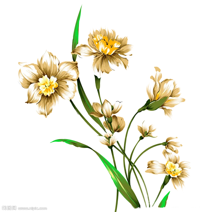 【PNG素材网-png.mixinnet.cn】水仙花素材