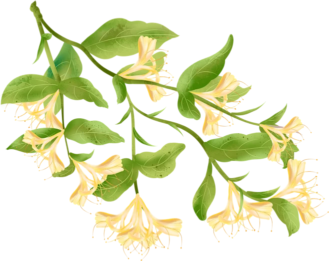 【PNG素材网-png.mixinnet.cn】361