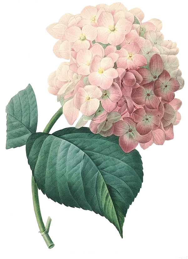 【PNG素材网-png.mixinnet.cn】[乐分享 ]PNG免扣素材 (31)