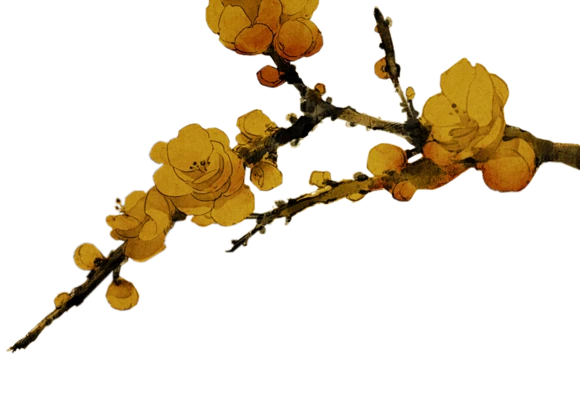 【PNG素材网-png.mixinnet.cn】9a5b57818786d9ff4db0d4f2f8aa92a731d07dce22eb9-BbNjzM_fw658