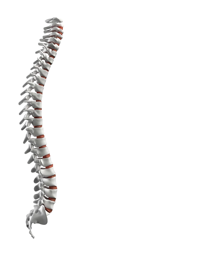 【PNG素材网-png.mixinnet.cn】240374-13012316394931_waifu2x_