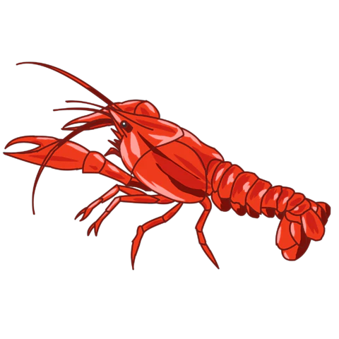【PNG素材网-png.mixinnet.cn】小龙虾