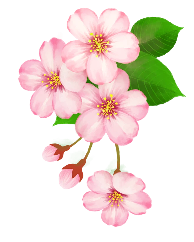 【PNG素材网-png.mixinnet.cn】0993eb961287407e9957bcb24feaab