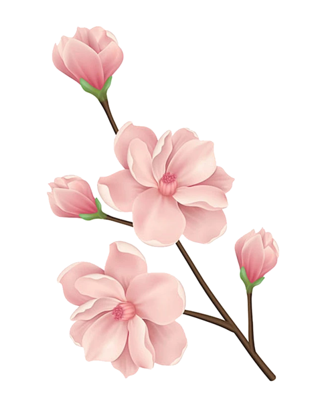 【PNG素材网-png.mixinnet.cn】粉色樱花