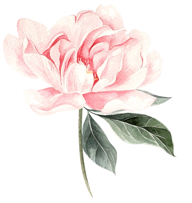 【PNG素材网-png.mixinnet.cn】1 (52)