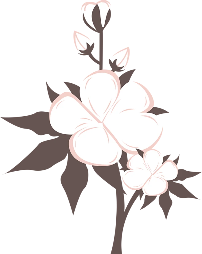 【PNG素材网-png.mixinnet.cn】花 高清免抠素材